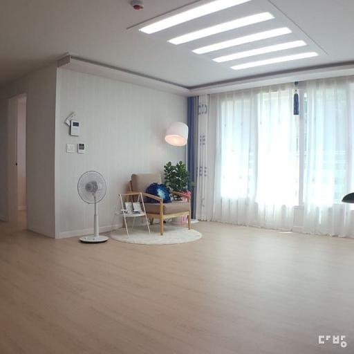 신사동