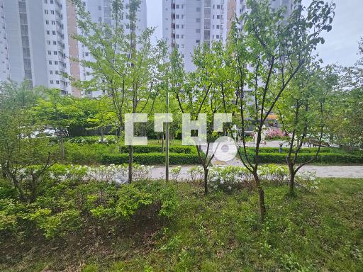 Apartment in 충무공동 - View 3