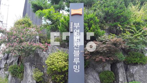 전망좋음, 깔끔한 내부상태 - View 2