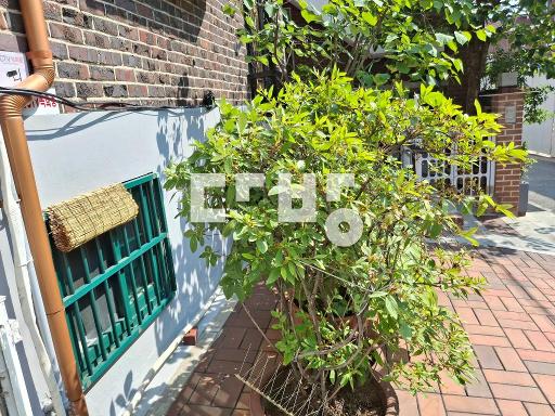 공덕역10분거리  일층같은등기상지층 주인이  여성만 원함  반려동물금지 - View 5