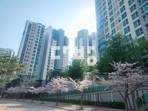 유치원과 상원초등학교 인접한 동 - View 4