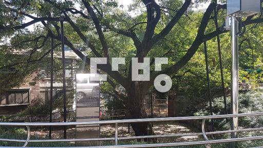 Apartment in 신림동 - View 3