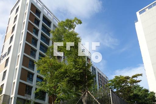 Apartment in 고등동 - View 3