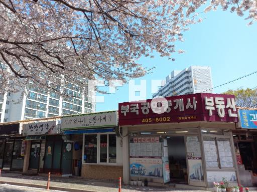 절충가능,로얄층,샤시포함전체올수리2019년,깨끗,방2,욕실1,거실,베란다 - View 5