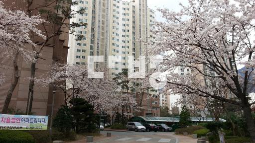 양산부산대학병원 근접, 유,초,중,고 학군좋고 생활권편리한아파트 - View 3
