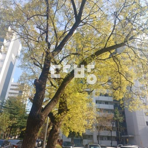 남향, 단지내 근린공원 및 초중고 집보러오세요.월세저렴 – pohled 2