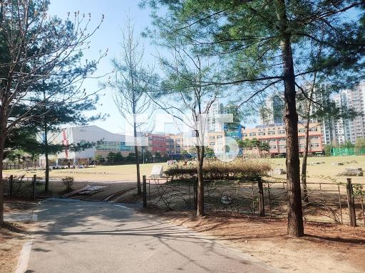 유치원과 상원초등학교 인접한 동 - View 3