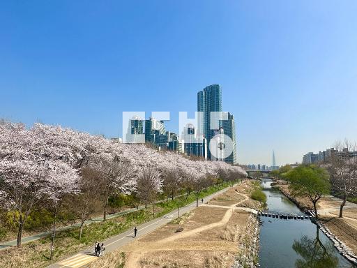 Apartment in 개포동 - View 2