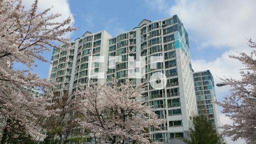 34  앞이 멀리 트여  채광 조망좋은 로얄동, 관리 잘 되어  깔끔 - View 4