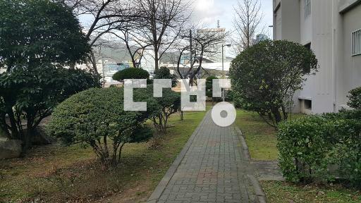 단지내 초역세권이며 역전세도 이사도 가능함.집이 깨끗함. - View 3
