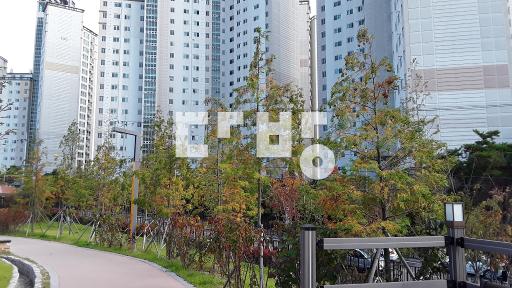 즉시입주, R충, 집주인 관리로 집상태 최상, 뷰와 햇살 최고