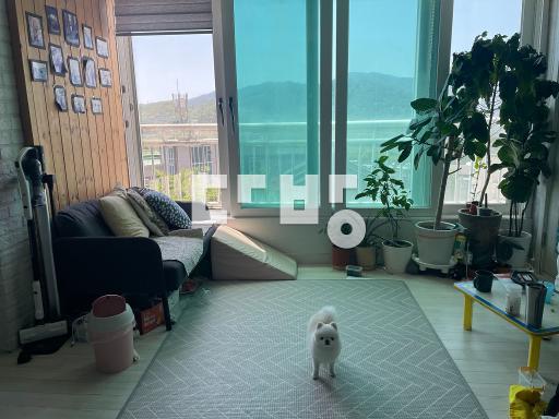 Apartment in 범서읍 - View 3