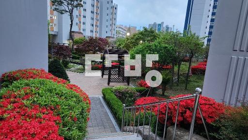 집에서 주차장 바로 연결 앞 트임 일조권 조망권 우수 이사일 조율 가능 - View 2