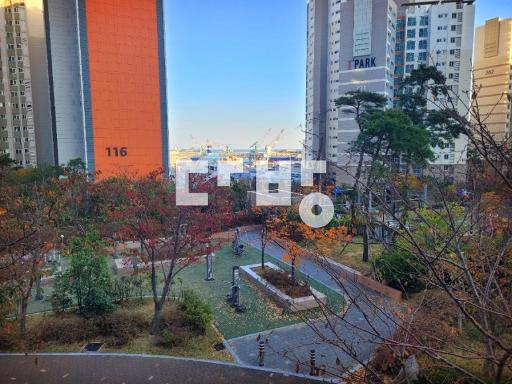 6월까지급매. 남동향.필로티2층.안방붙박이장. 집상태양호. 전세안고매매 - View 3