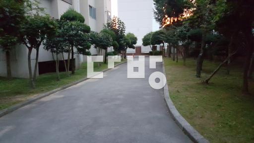 남향, 전망좋음, 일조권좋음, 즉시입주가, 초중교인접, 숲세권, 산책로 - View 3