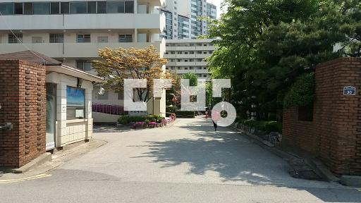 역세권 남향 샷시포함 올수리되어 상태깨끗 정상입주 - View 2