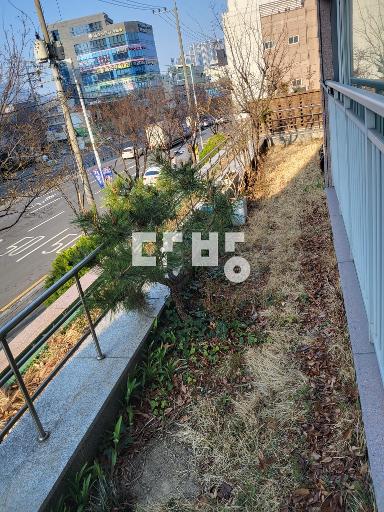 바로 앞이 정원(2평). 조건협의. - View 4