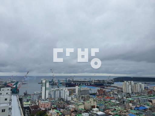 Apartment in 전하동 - View 5