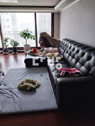 사진有 시원한 전망 상가 이용 가까운 정문 라인