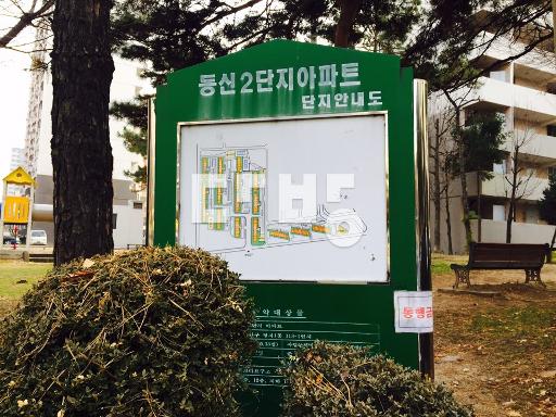 바깥샷시 내부올수리 교통,생활편의시설잘되어있음 7월9일입주 - View 3