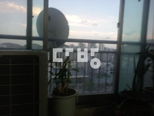 급매물로 안방붙박이와에어컨2대수리가잘되어있고일부화장실수리필,밝고햇빌잘듬 - View 5