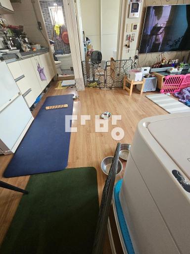 준신축급 방2개 주차가능 엘레베이터/남향 트인뷰 이사날짜맞춰드려요. – pohled 5